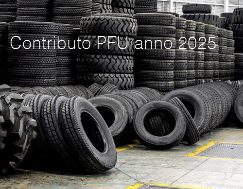 Contributo PFU anno 2025