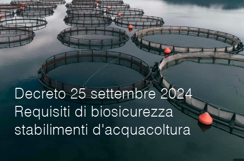 Decreto 25 settembre 2024