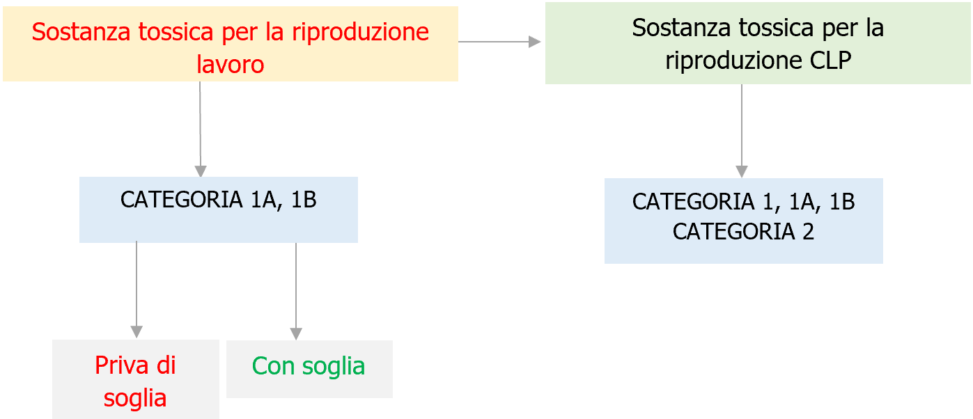 Dlgs 135 2024 Sostanze reprotossiche TUS Lavoro Figura 1