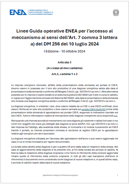 Linee guida operative ENEA accesso meccanismo adempimento obblighi impresa energivora