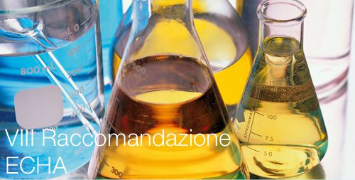VIII raccomandazione ECHA VIII raccomandazione ECHA