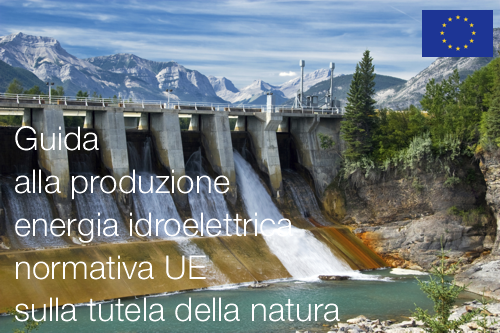 Guida produzione energia idroelettrica Guida produzione energia idroelettrica