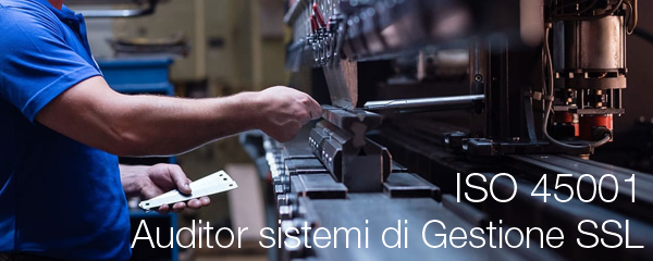 ISO 45001 Auditor ISO 45001 Auditor