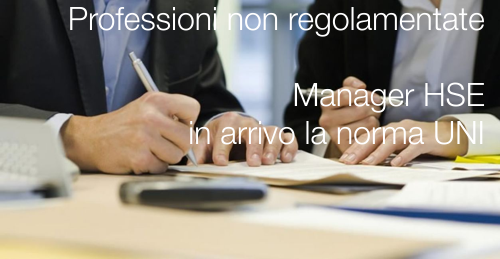 Manager HSE Manager HSE