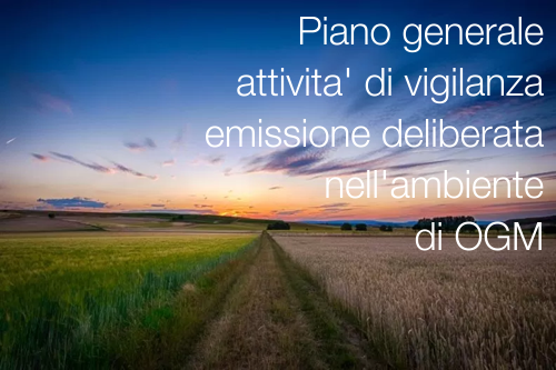 Piano vigilanza OGM Piano vigilanza OGM