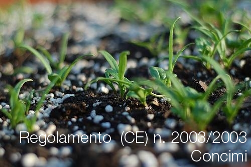 Regolamento CE 2003 2003 Regolamento CE 2003 2003