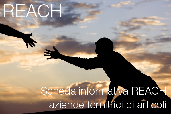 Scheda Informativa REACH Scheda Informativa REACH