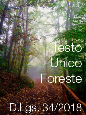 Tesdto Unico Foreste DLgs 34 2018 Tesdto Unico Foreste DLgs 34 2018