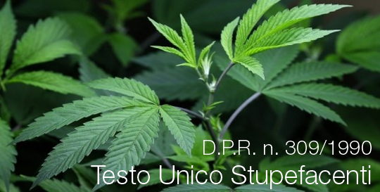 Testo Unico Stupefacenti DPR 309 1990 Testo Unico Stupefacenti DPR 309 1990