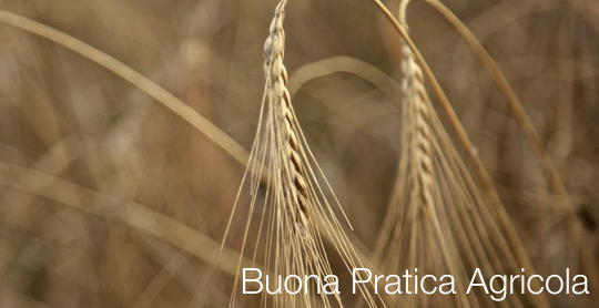 Buona Pratica Agricola Buona Pratica Agricola