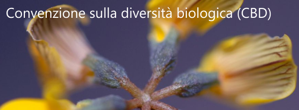 Convenzione sulla diversit biologica CBD Convenzione sulla diversit biologica CBD