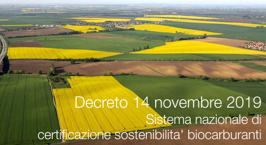 Decreto 14 novembre 2019 Decreto 14 novembre 2019