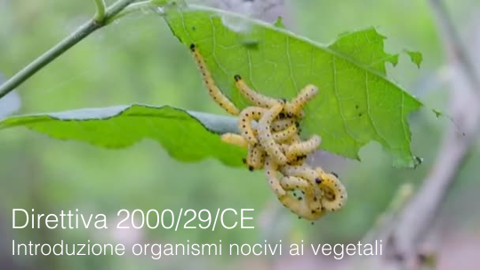 Direttiva 2000 29 CE Direttiva 2000 29 CE