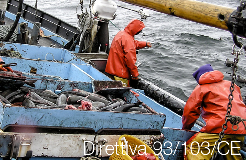 Direttiva 93 103 CE Direttiva 93 103 CE