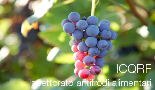 ICQRF Ispettorato antifrodi alimentari ICQRF Ispettorato antifrodi alimentari