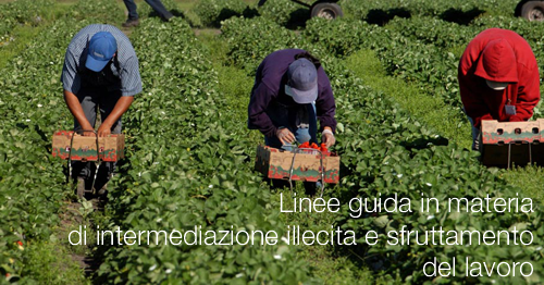 Linee guida in materia di intermediazione illecita e sfruttamento del lavoro Linee guida in materia di intermediazione illecita e sfruttamento del lavoro
