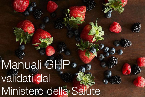 MANUALI GHP VALIDATI MANUALI GHP VALIDATI