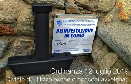 Ordinanza 12 luglio 2019 Ordinanza 12 luglio 2019