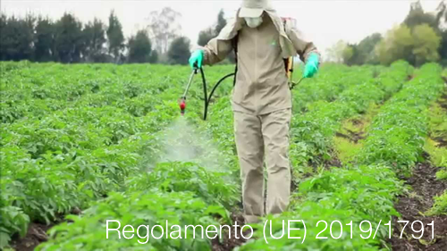 Regolamento 2019 1791 Regolamento 2019 1791
