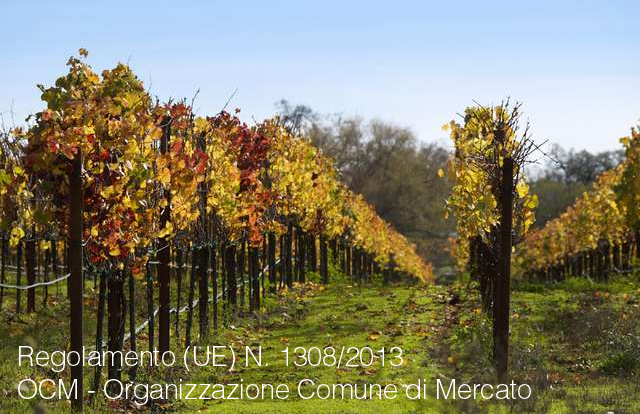 Regolamento OCM Regolamento OCM