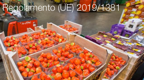 Regolamento UE 20191381 Regolamento UE 20191381
