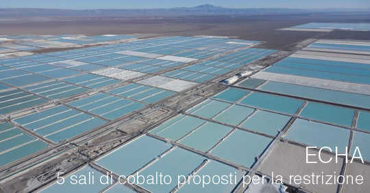 Sali di cobalto proposti per la restrizione Sali di cobalto proposti per la restrizione