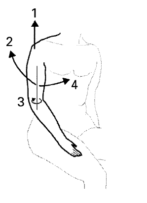 UNI ISO 11226 07 UNI ISO 11226 07