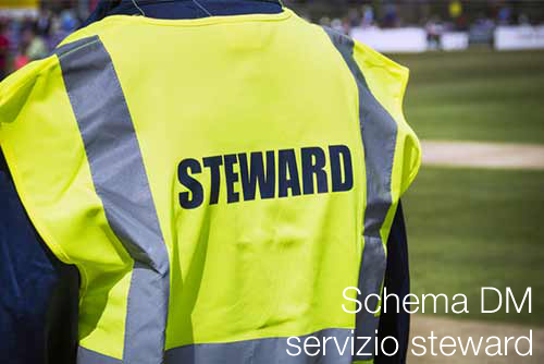 steward schema DM steward schema DM