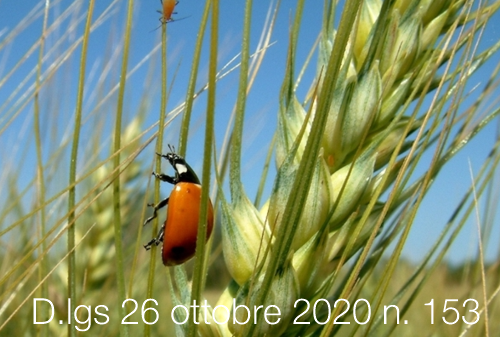 Decreto Legislativo 26 ottobre 2020 n 153 Decreto Legislativo 26 ottobre 2020 n 153