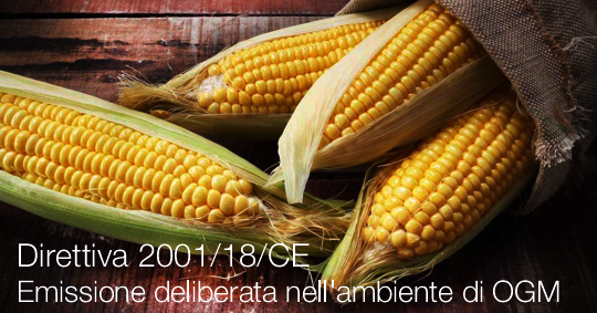 Direttiva 2001 18 CE emissione deliberata nell ambiente OGM Direttiva 2001 18 CE emissione deliberata nell ambiente OGM