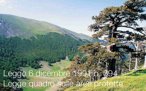 Legge 6 dicembre 1991 n 394 Legge 6 dicembre 1991 n 394