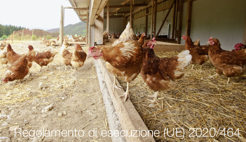 Regolamento di esecuzione 2020 464 Regolamento di esecuzione 2020 464