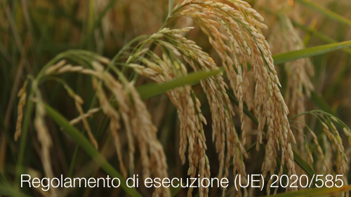 Regolamento di esecuzione 2020 585 Regolamento di esecuzione 2020 585