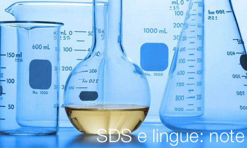 SDS e lingue note SDS e lingue note