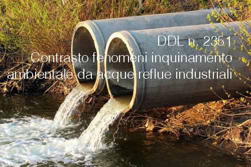 DDL n 2351 DDL n 2351