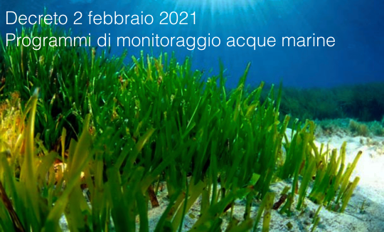 Decreto 2 febbraio 2021 Decreto 2 febbraio 2021