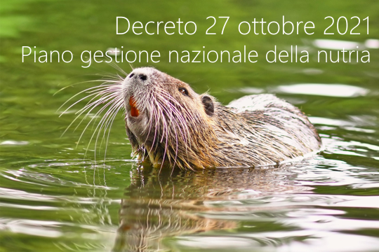 Decreto 27 ottobre 2021 Decreto 27 ottobre 2021