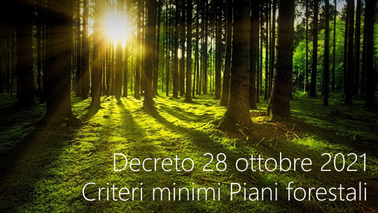 Decreto 28 ottobre 2021 Criteri minimi Piani forestali Decreto 28 ottobre 2021 Criteri minimi Piani forestali