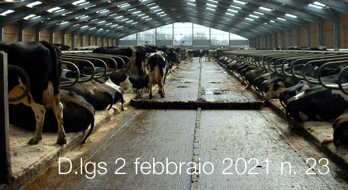 Decreto Legislativo 2 febbraio 2021 n 23 Decreto Legislativo 2 febbraio 2021 n 23