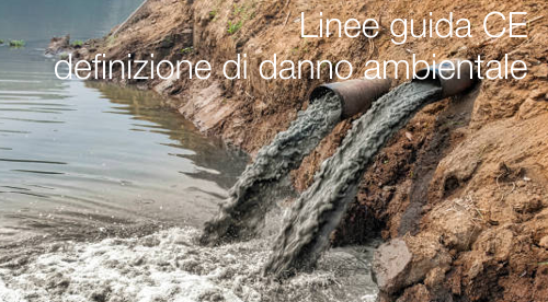 Linee guida CE definizione di danno ambientale Linee guida CE definizione di danno ambientale