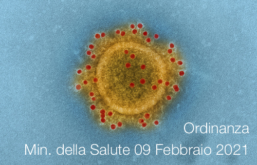 Ordinanza 9 Febbraio 2021 Ordinanza 9 Febbraio 2021