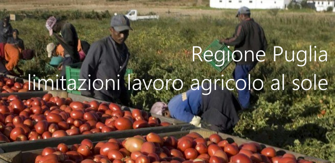 Ordinanza Regione Puglia n 18e 2021 Limitazioni lavoro agricolo al sole Ordinanza Regione Puglia n 18e 2021 Limitazioni lavoro agricolo al sole