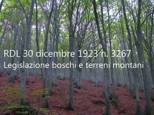 Regio Decreto Legge 30 dicembre 1923 n 3267 Legislazione in materia di boschi e di terreni montani Regio Decreto Legge 30 dicembre 1923 n 3267 Legislazione in materia di boschi e di terreni montani