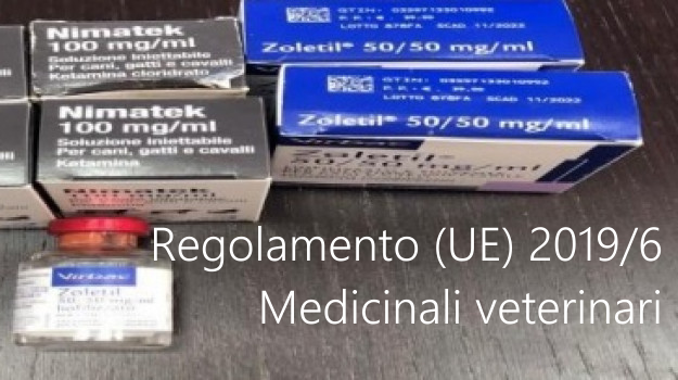 Regolamento UE 2019 6 Medicinali veterinari Regolamento UE 2019 6 Medicinali veterinari