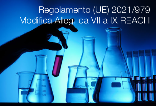 Regolamento UE 2021 979 Regolamento UE 2021 979
