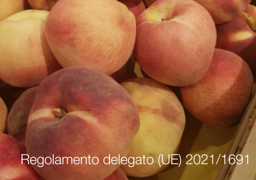 Regolamento delegato UE 2021 1691 Regolamento delegato UE 2021 1691
