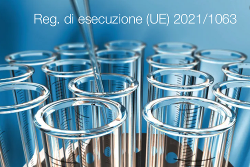 Regolamento di esecuzione 2021 1063 Regolamento di esecuzione 2021 1063