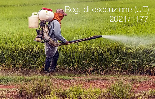 Regolamento di esecuzione UE 2021 1177 Regolamento di esecuzione UE 2021 1177