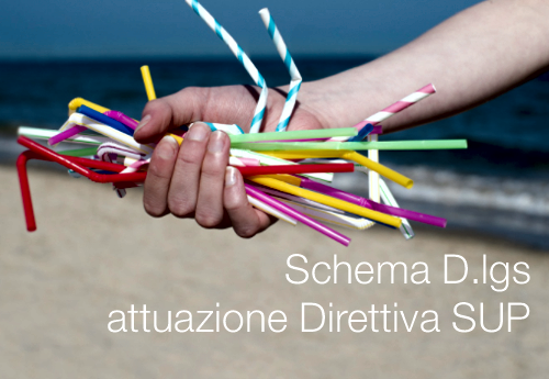 Schema D lgs attuazione Direttiva SUP Schema D lgs attuazione Direttiva SUP