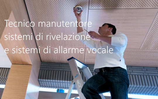 Tecnico manutentore sistemi di rivelazione e sistemi di allarme vocale Tecnico manutentore sistemi di rivelazione e sistemi di allarme vocale